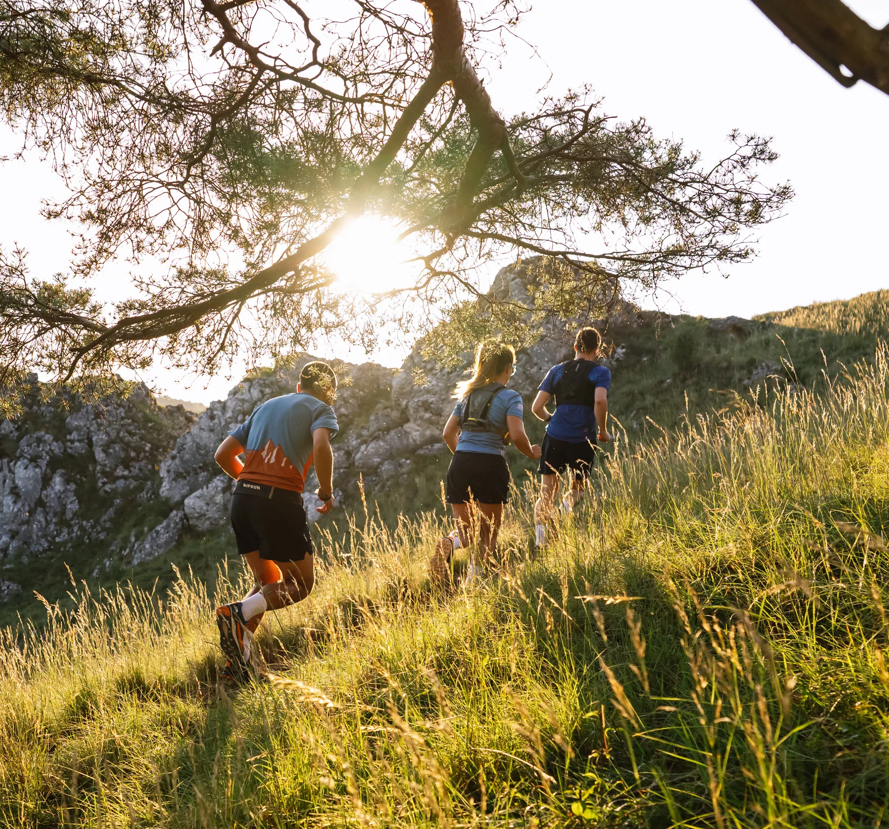 Trois coureurs en vêtements de sport courent le long d'une colline boisée alors que le soleil se lève derrière eux.